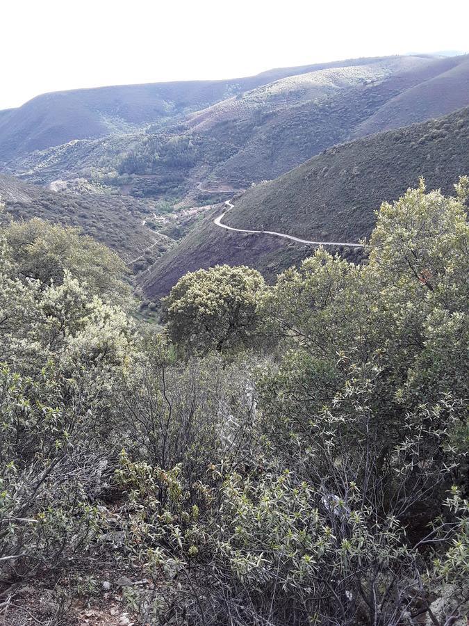 Casa Rural Costanilla San Miguel de Valero Екстер'єр фото